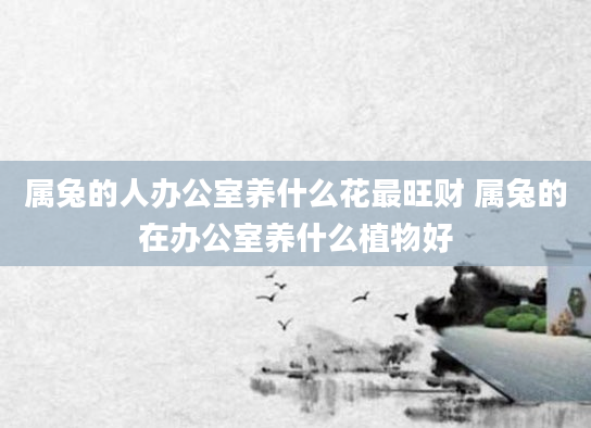 属兔的人办公室养什么花最旺财 属兔的在办公室养什么植物好