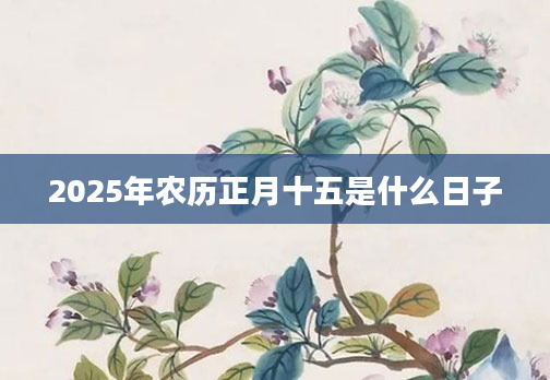 2025年农历正月十五是什么日子