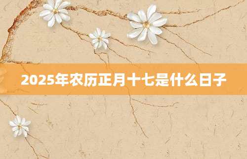 2025年农历正月十七是什么日子