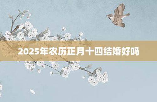 2025年农历正月十四结婚好吗