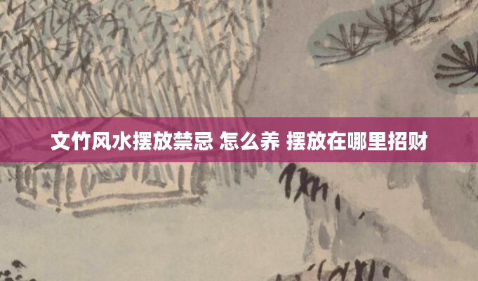 文竹风水摆放禁忌 怎么养 摆放在哪里招财