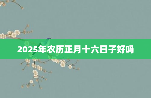 2025年农历正月十六日子好吗