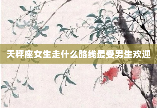 天秤座女生走什么路线最受男生欢迎