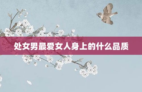 处女男最***身上的什么品质