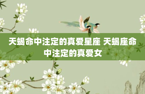 天蝎命中注定的真爱星座 天蝎座命中注定的真爱女