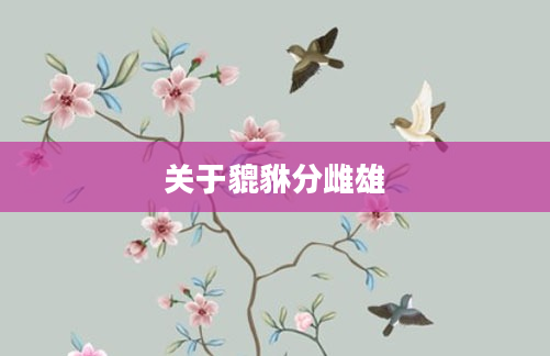 关于貔貅分雌雄