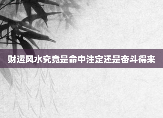 财运风水究竟是命中注定还是奋斗得来
