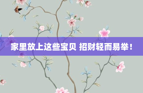 家里放上这些宝贝 招财轻而易举！