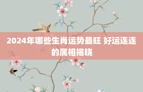 2024年哪些生肖运势最旺 好运连连的属相揭晓