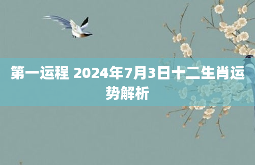 第一运程 2024年7月3日十二生肖运势解析