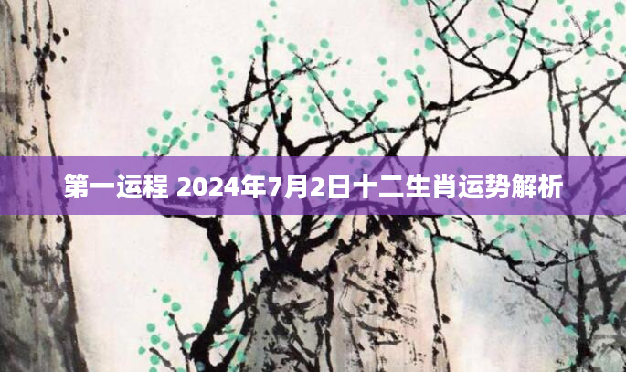 第一运程 2024年7月2日十二生肖运势解析