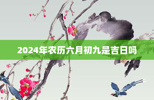 2024年农历六月初九是吉日吗