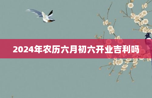 2024年农历六月初六开业吉利吗
