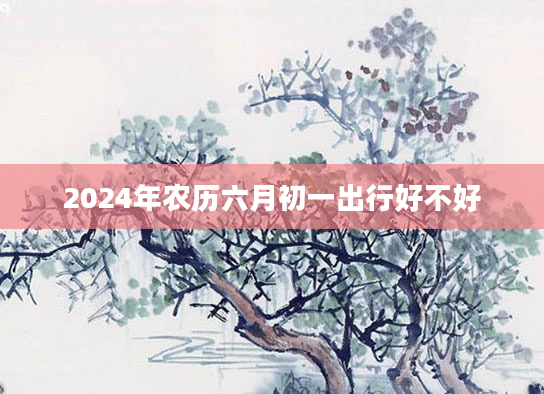 2024年农历六月初一出行好不好