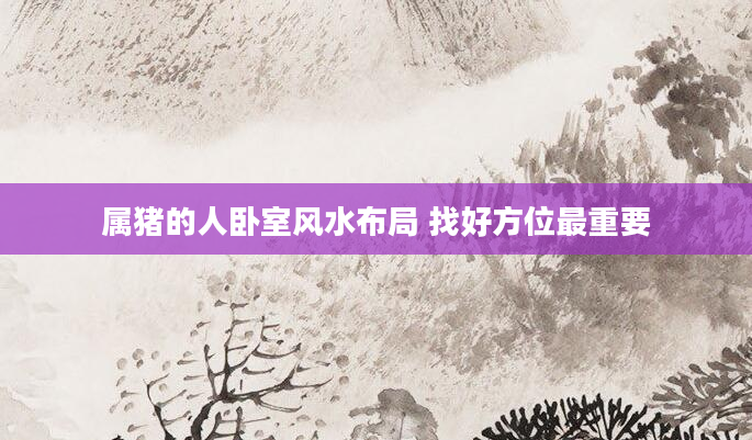 属猪的人卧室风水布局 找好方位最重要