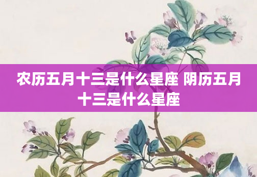 农历五月十三是什么星座 阴历五月十三是什么星座
