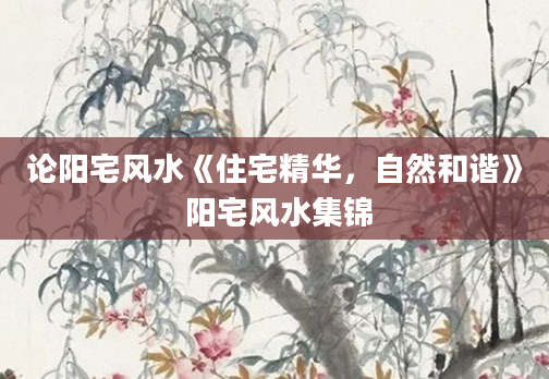 论阳宅风水《住宅精华，自然和谐》 阳宅风水集锦
