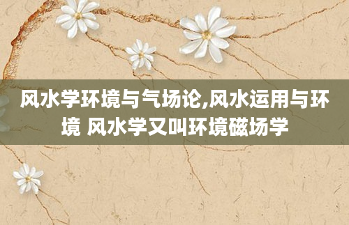 风水学环境与气场论,风水运用与环境 风水学又叫环境磁场学