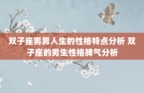 双子座男男人生的性格特点分析 双子座的男生性格脾气分析