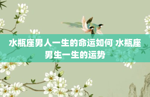 水瓶座男人一生的命运如何 水瓶座男生一生的运势