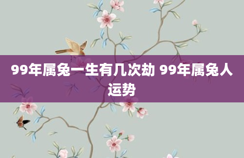 99年属兔一生有几次劫 99年属兔人运势