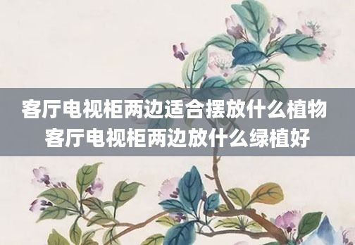 客厅电视柜两边适合摆放什么植物 客厅电视柜两边放什么绿植好
