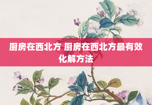 厨房在西北方 厨房在西北方最有效化解方法