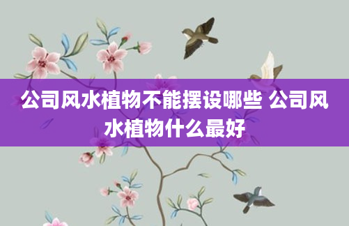 公司风水植物不能摆设哪些 公司风水植物什么最好
