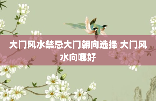 大门风水禁忌大门朝向选择 大门风水向哪好