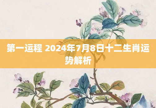 第一运程 2024年7月8日十二生肖运势解析