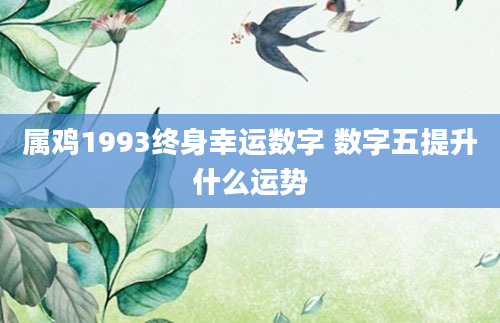 属鸡1993终身幸运数字 数字五提升什么运势