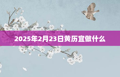 2025年2月23日黄历宜做什么