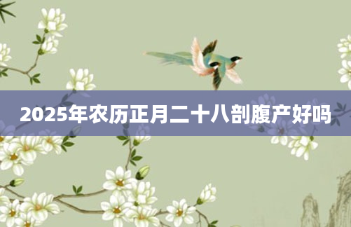 2025年农历正月二十八剖腹产好吗