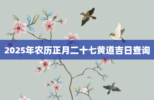 2025年农历正月二十七黄道吉日查询