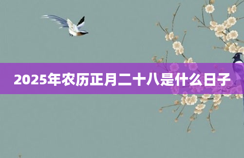 2025年农历正月二十八是什么日子