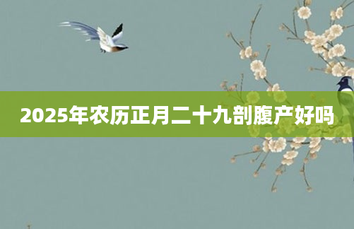 2025年农历正月二十九剖腹产好吗