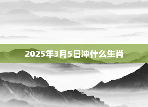 2025年3月5日冲什么生肖