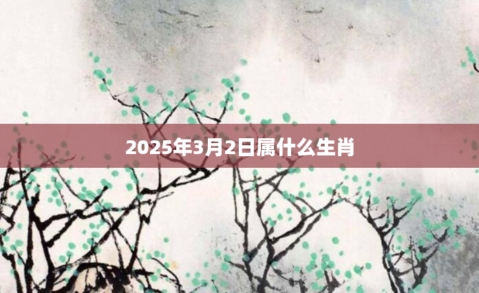 2025年3月2日属什么生肖