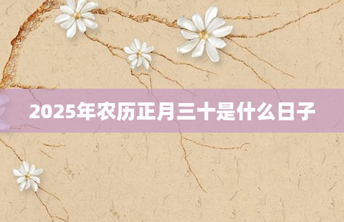 2025年农历正月三十是什么日子