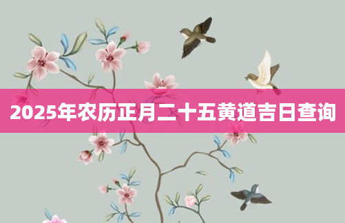 2025年农历正月二十五黄道吉日查询