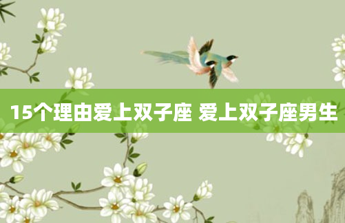 15个理由爱上双子座 爱上双子座男生