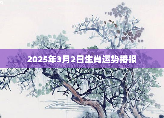 2025年3月2日生肖运势播报