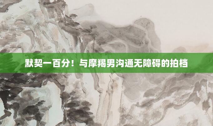 默契一百分！与摩羯男沟通无障碍的拍档