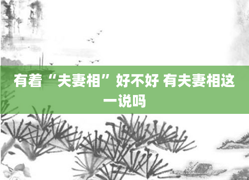 有着“夫妻相”好不好 有夫妻相这一说吗