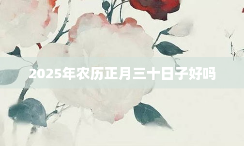 2025年农历正月三十日子好吗