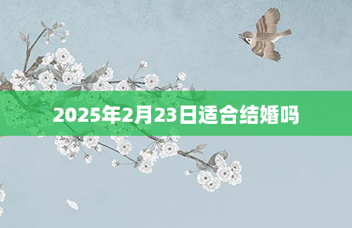 2025年2月23日适合结婚吗