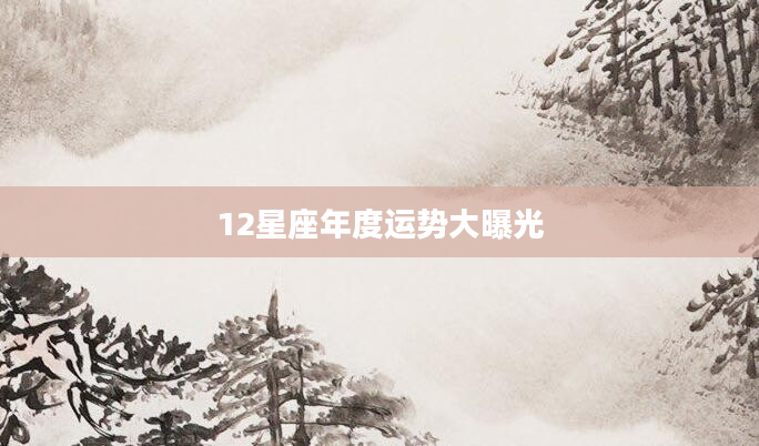 12星座年度运势大曝光