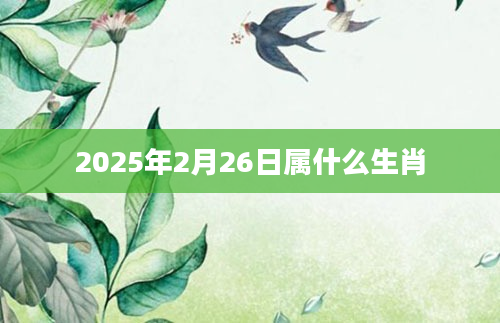 2025年2月26日属什么生肖