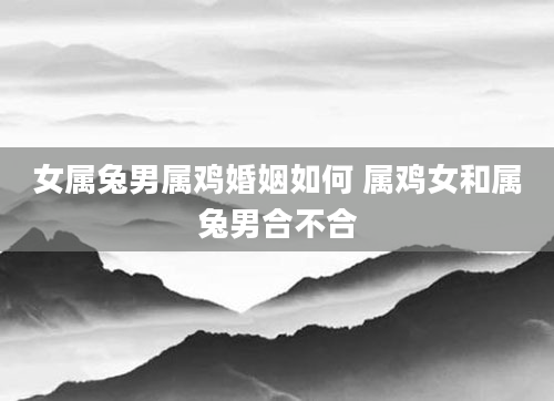 女属兔男属鸡婚姻如何 属鸡女和属兔男合不合