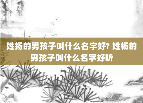 姓扬的男孩子叫什么名字好? 姓杨的男孩子叫什么名字好听